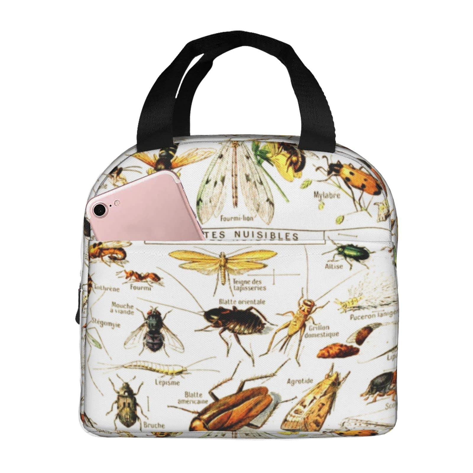 Amazon｜ランチバッグ ランチ巾着 昆虫柄 イラスト 虫柄 トビムシ お